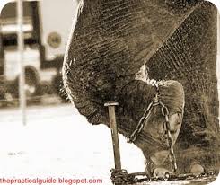 Mindset Elephant